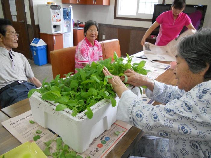 동서노인요양원 이미지 13