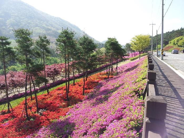 사평예랑의집 이미지 21