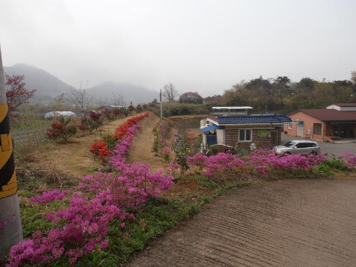 소망뜰 노인전문요양원 이미지 11