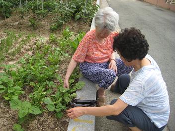 삼보요양원 이미지 25