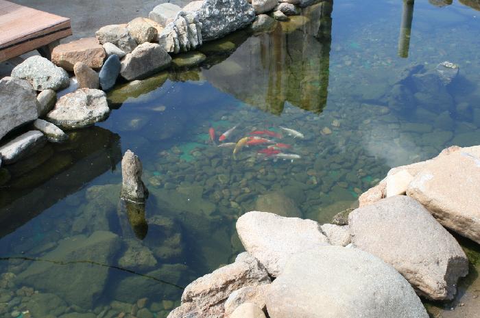 믿음의 집 이미지 19