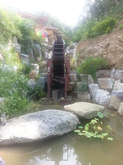 산호케어 이미지 4