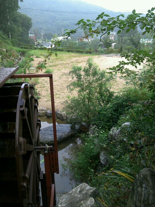 산호케어 이미지 3