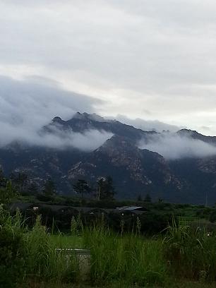 영암노인전문요양원 이미지 16