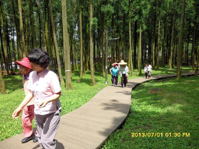 제주태고원 이미지 8