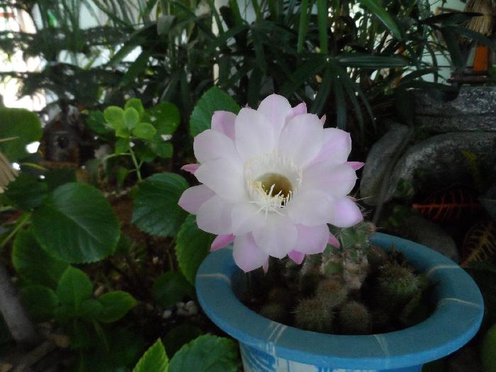 신안군노인전문요양원 이미지 15