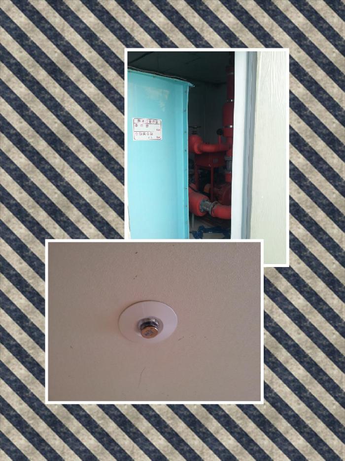 에덴의집 이미지 36