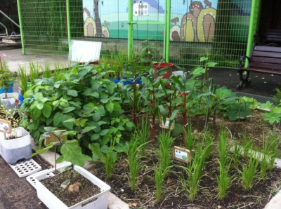 협성요양원 이미지 17