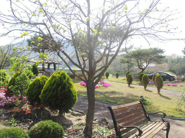 세진요양원 이미지 17