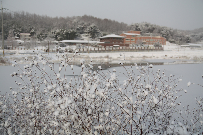 성모전문요양원