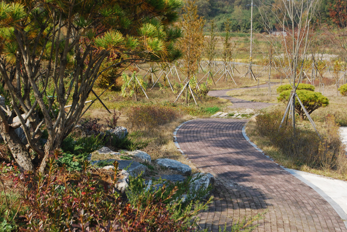 성모전문요양원 이미지 8