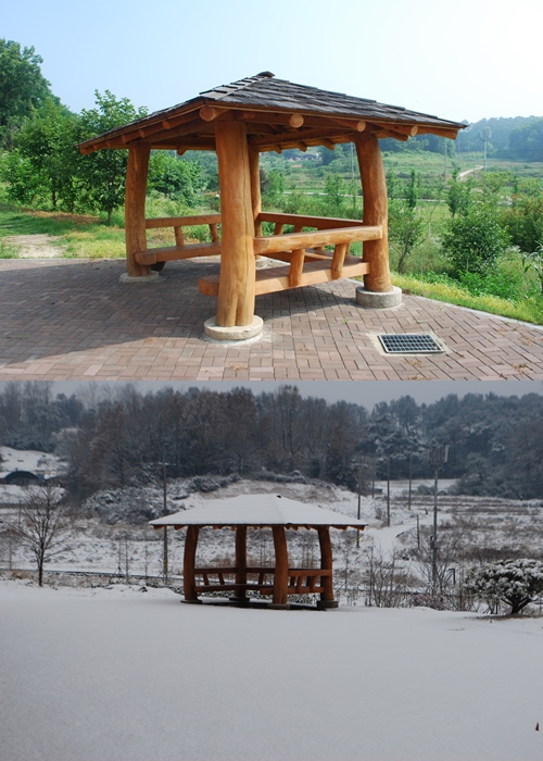 성모전문요양원 이미지 5