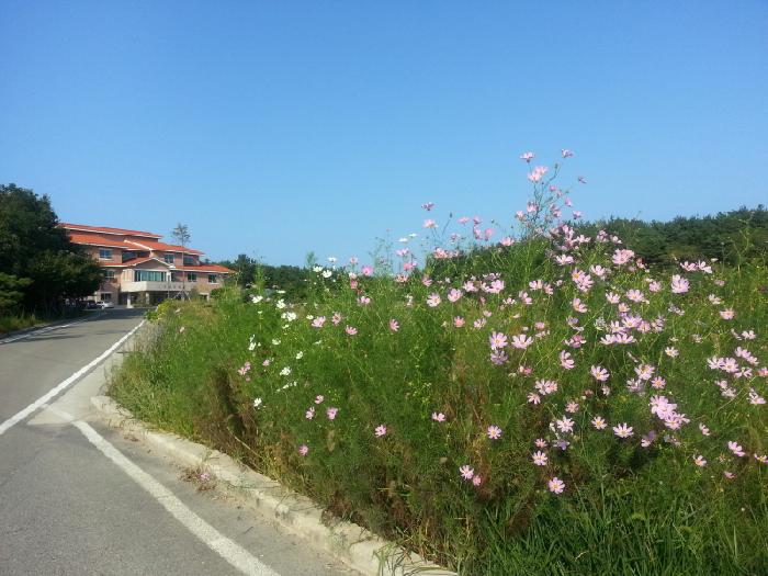 엘림 실버빌 이미지 7