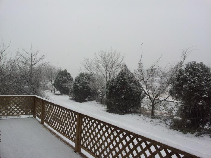 예당노인요양공동생활가정 이미지 7