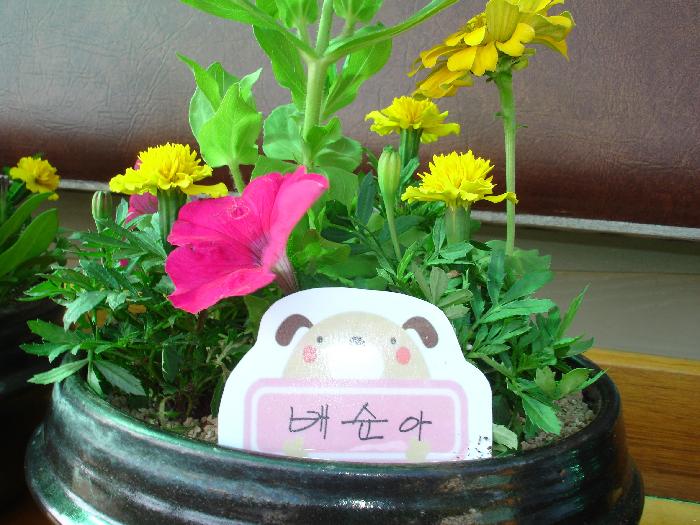 행복한집 이미지 21