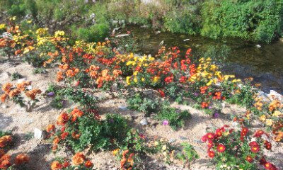 창원삼계요양원 이미지 4