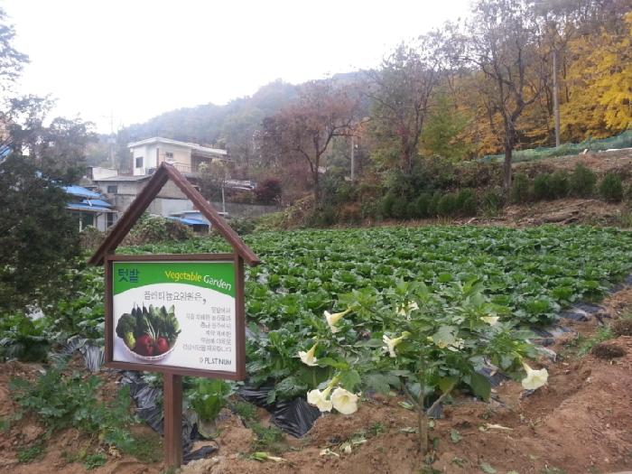 플래티늄 이미지 41