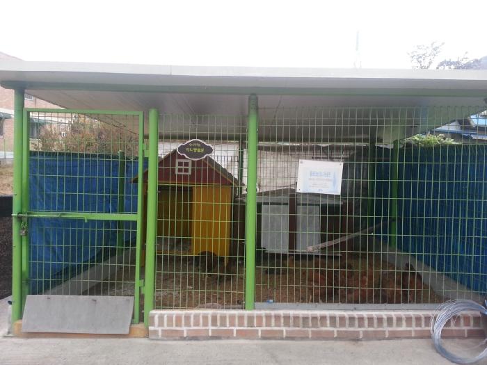 플래티늄 이미지 40