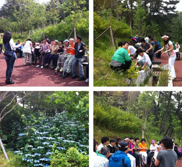 안나노인건강센터 이미지 3