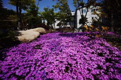 울산명성노인전문요양원 이미지 11