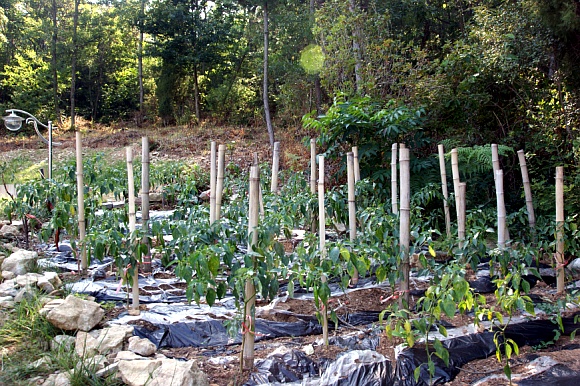 남해창선노인전문요양원 이미지 28