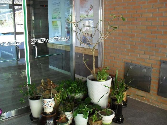 남해창선노인전문요양원 이미지 37