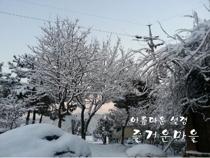 즐거운요양원 이미지 5