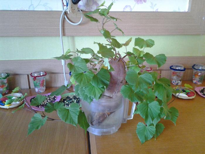 산청예심소규모노인종합센터 이미지 4