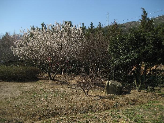 에덴복지원 이미지 2