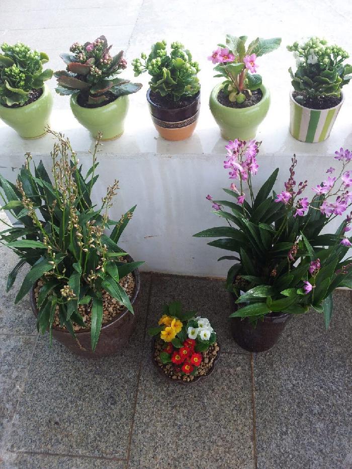 신안군노인전문요양원 이미지 13