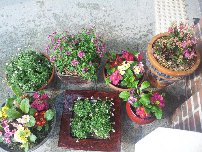 신안군노인전문요양원 이미지 12