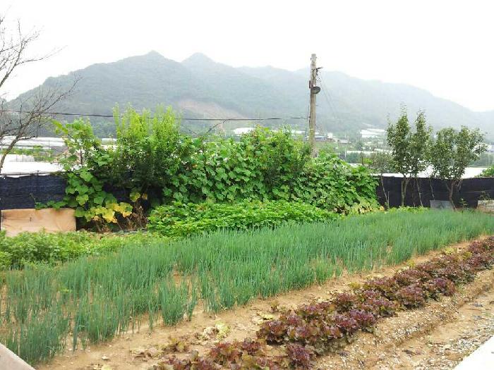 실로암노인전문요양원 이미지 2