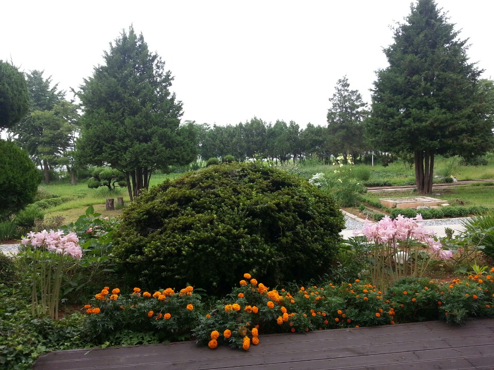 예사랑실버웰 이미지 2