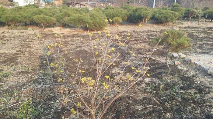 미송요양원 이미지 6