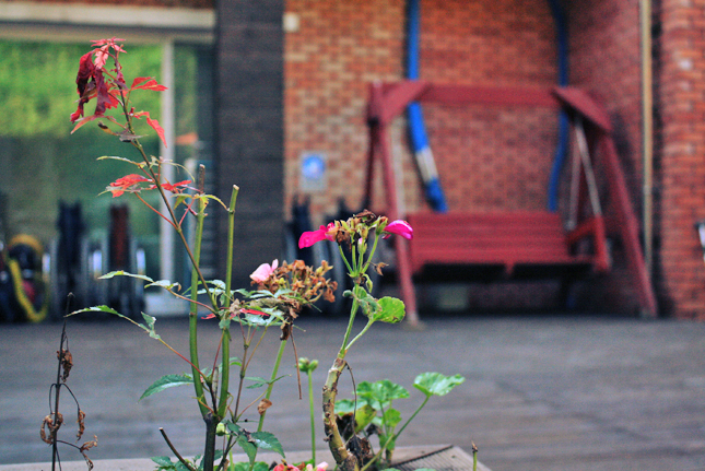 다정마을요양원 이미지 7