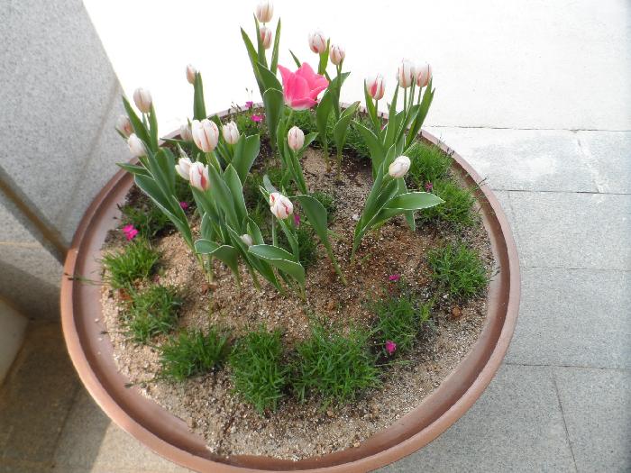 신안군노인전문요양원 이미지 25