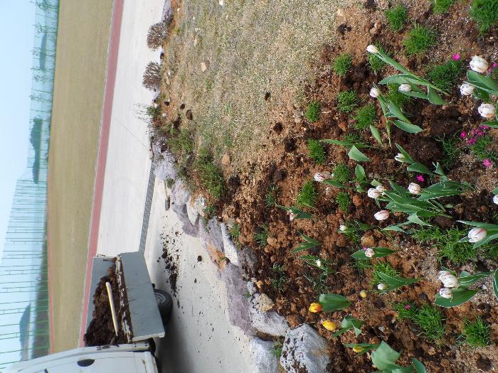 신안군노인전문요양원 이미지 24