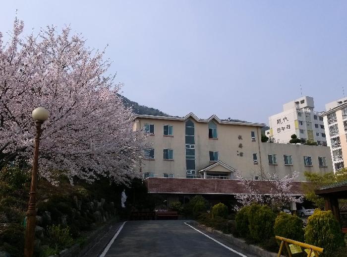 흰돌요양센터(목제관)