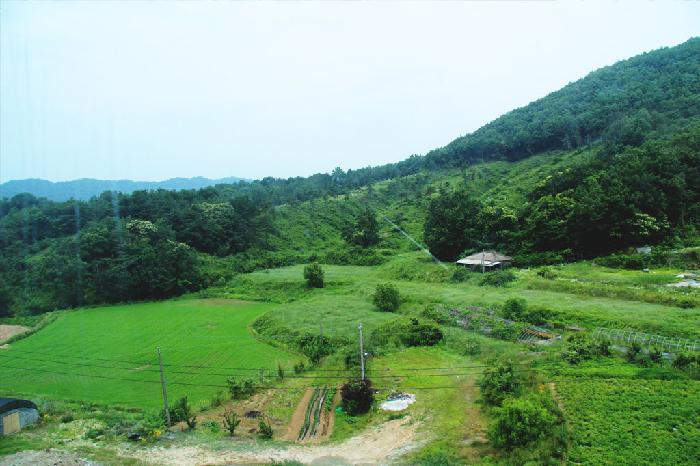 효명노인전문요양원