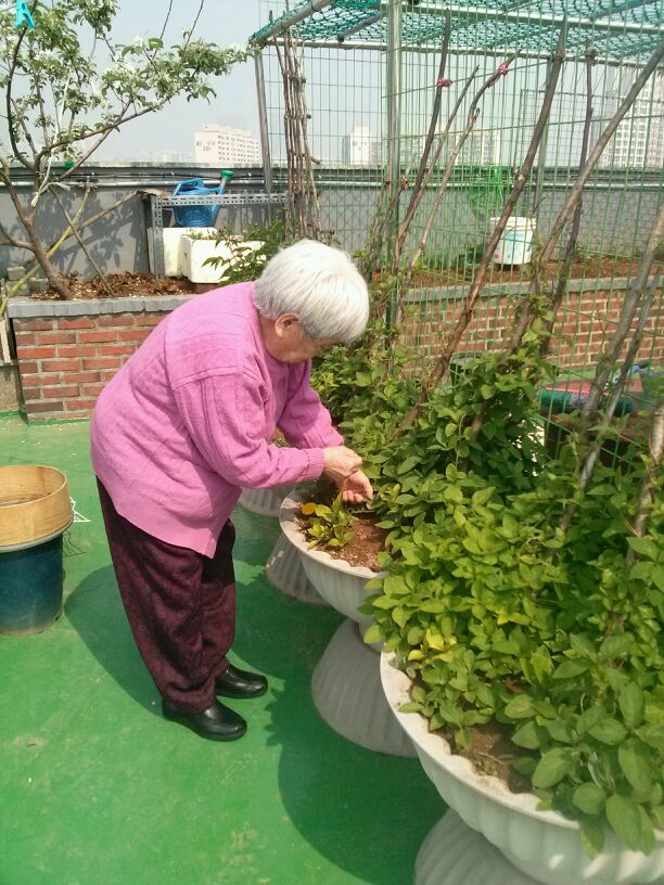 대림실버2 노인요양공동생활가정 이미지 25