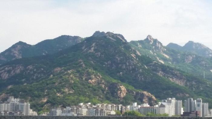 노블타운 요양원 이미지 12