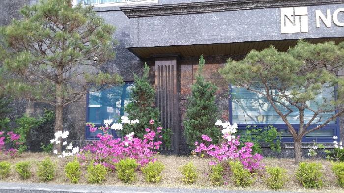 노블타운 요양원