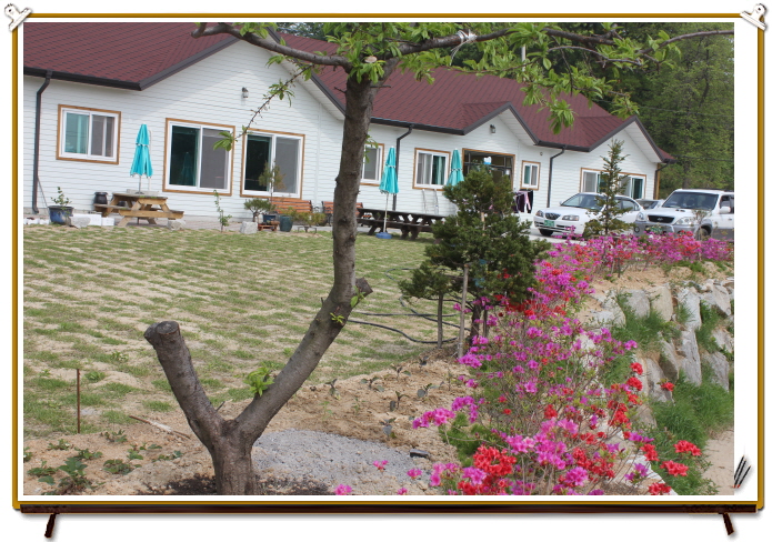 양지뜰노인요양원 이미지 19