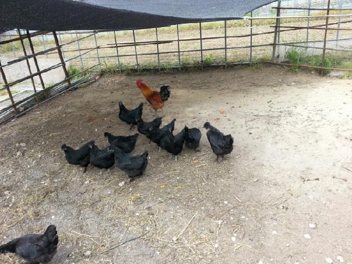 한울타리공동생활가정 이미지 11