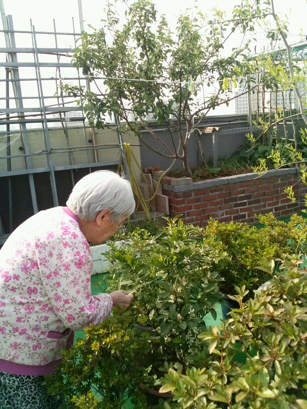 대림실버2 노인요양공동생활가정 이미지 16