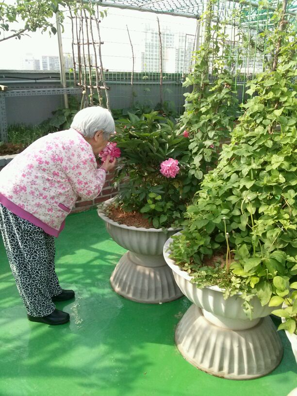 대림실버2 노인요양공동생활가정 이미지 14