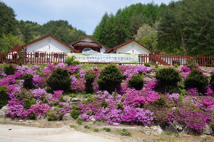 정선효도마을 이미지 39