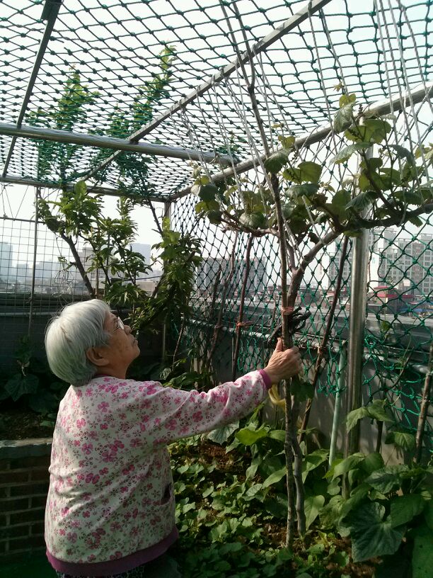 대림실버2 노인요양공동생활가정 이미지 3