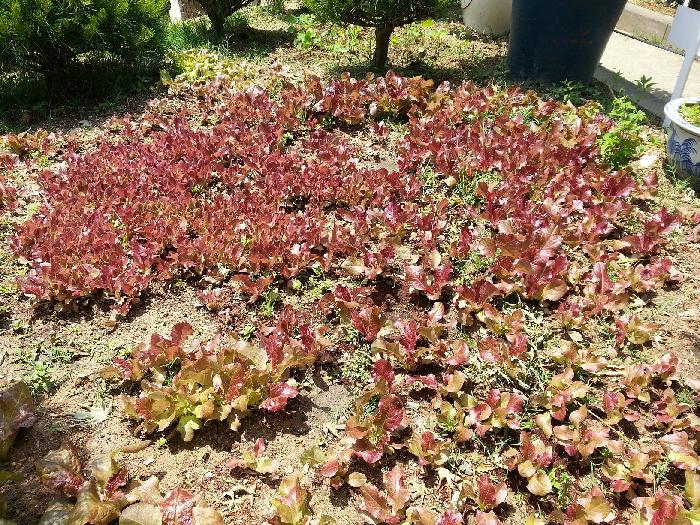 세실리아요양원 이미지 4