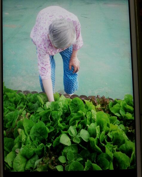 늘편한요양센터2호 이미지 23